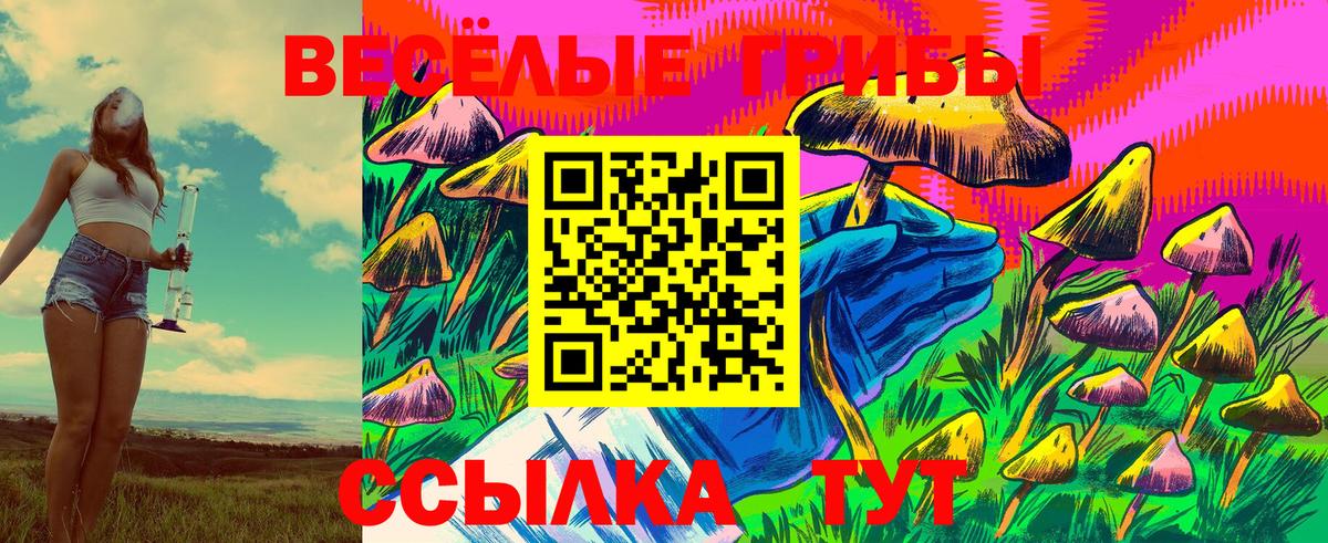 Галлюциногенные грибы Magic Shrooms Соль-Илецк